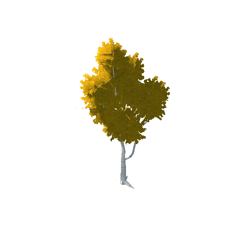 Birch Tree Yellow Big 03